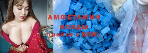 гашик Мегион