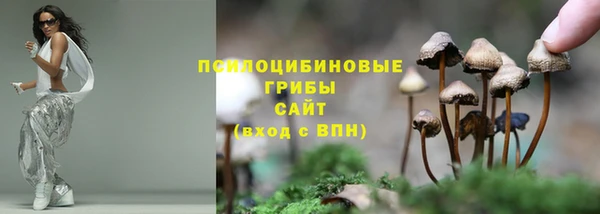 винт Медногорск