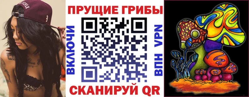 Галлюциногенные грибы Psilocybine cubensis  цена   Пермь 