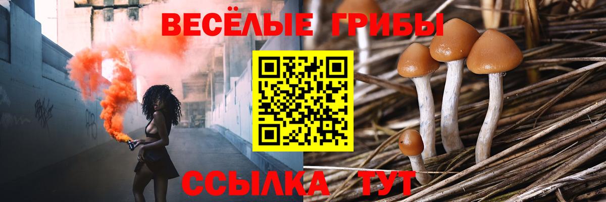 Галлюциногенные грибы прущие грибы Пермь